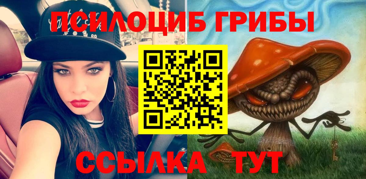 Нурлат  Псилоцибиновые грибы мухоморы  Вход с VPN 